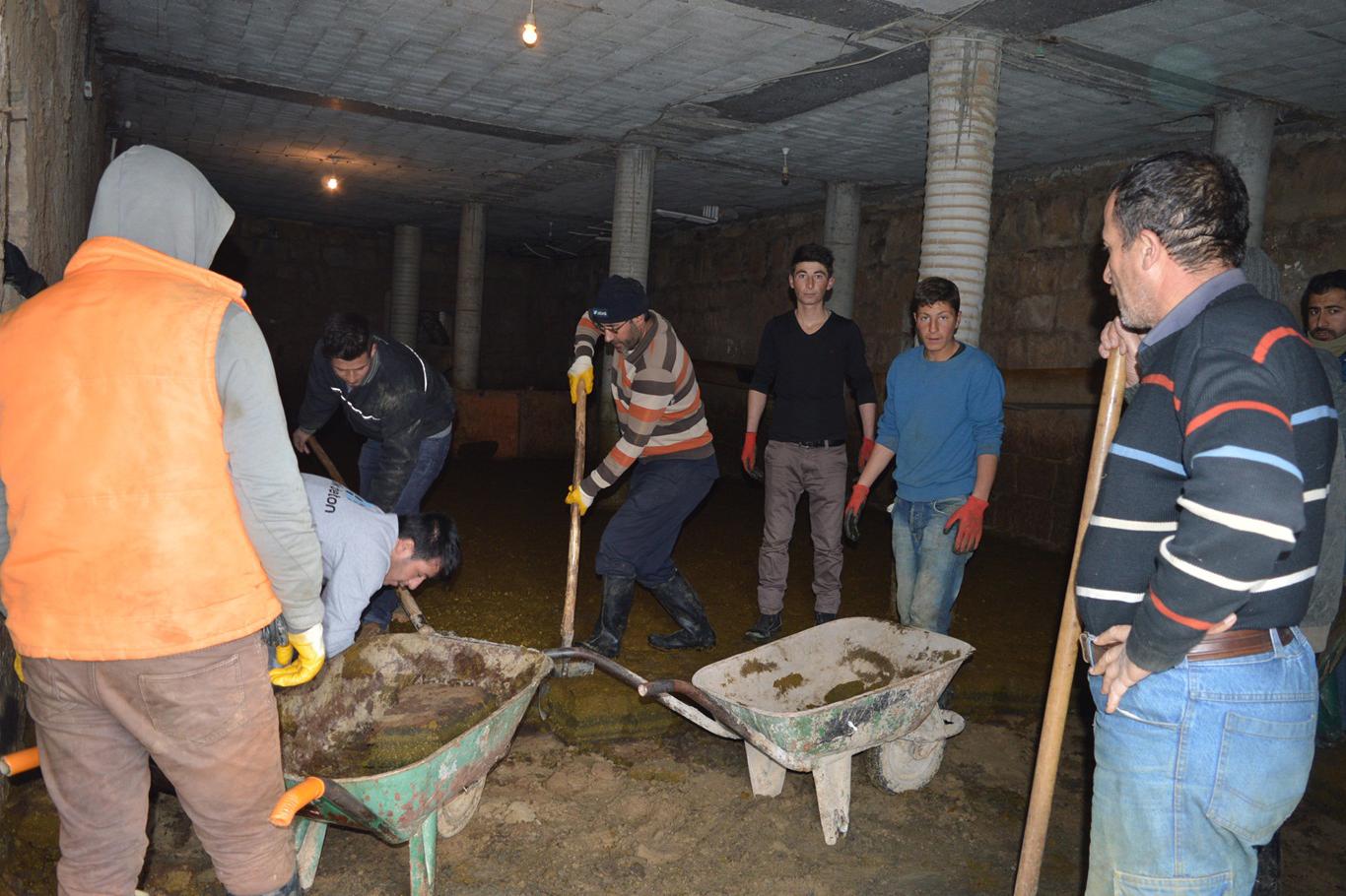 İmece usulü tezek istifliyorlar İmece usulü tezek istifliyorlar